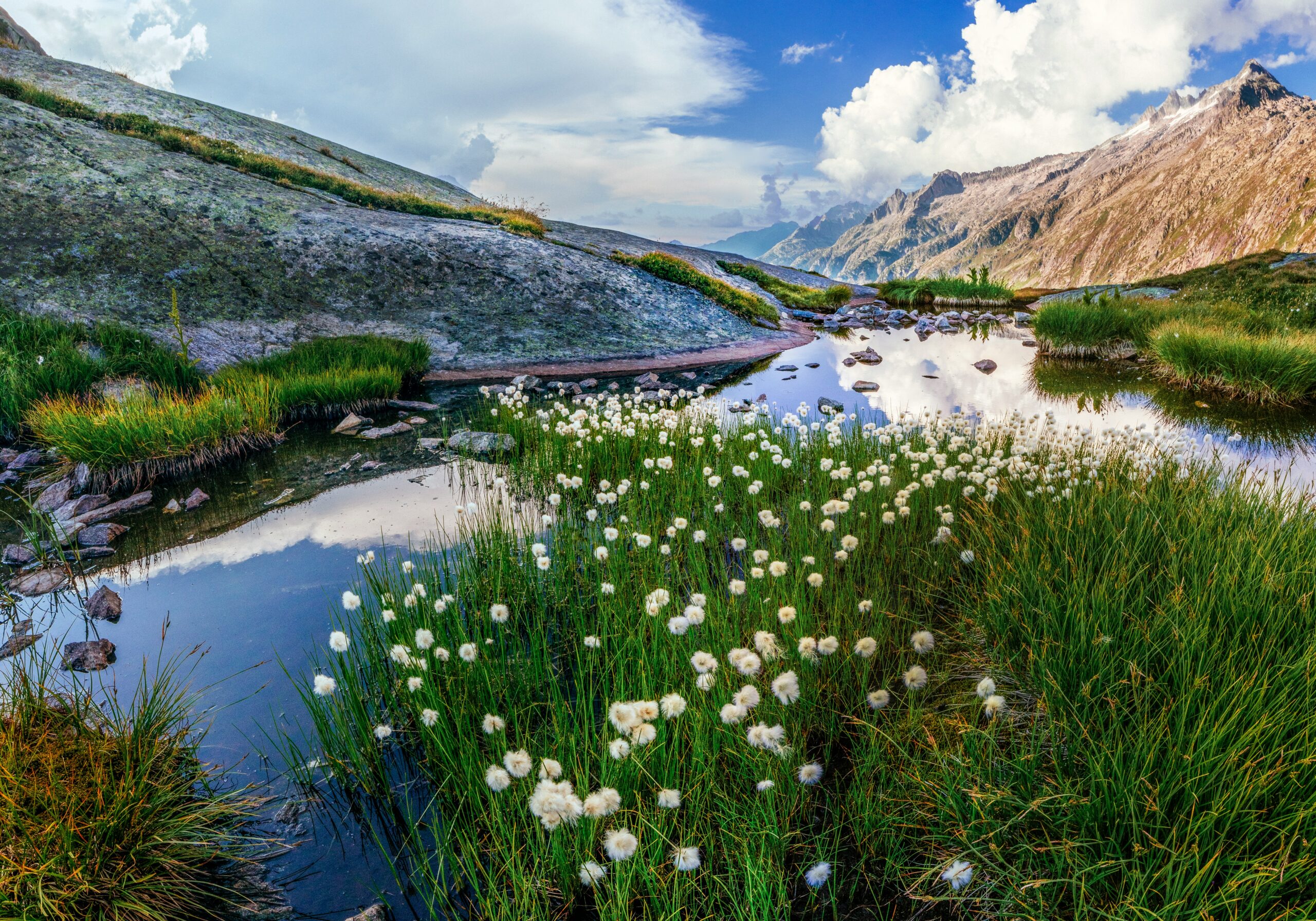 Die besten Roadtrips in der Schweiz