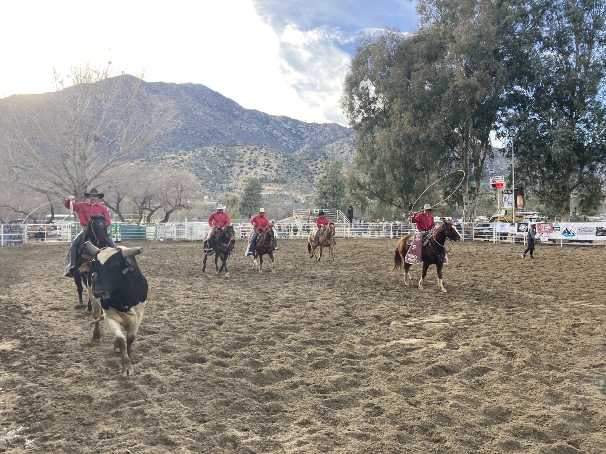 Um Rodeo US-Tradition Rodeo: Das musst du wissen – und erleben - mycation
