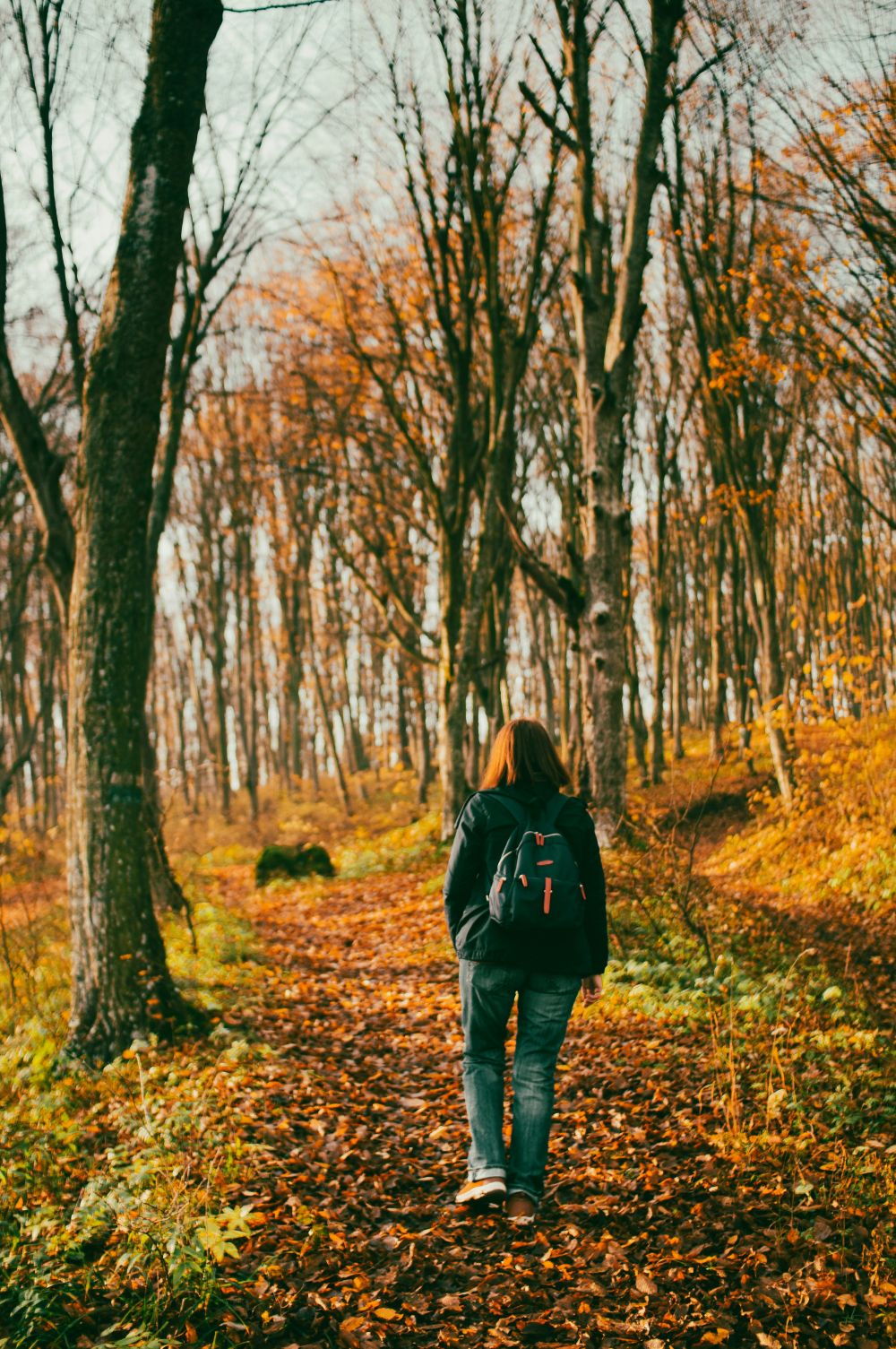 Die schönsten Wege der Schweiz im Herbst