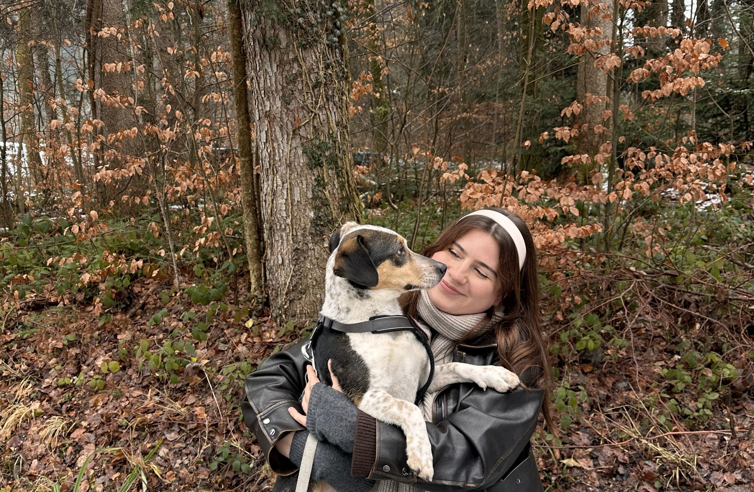 Das hätte ich gerne vor meiner ersten Reise mit Hund gewusst